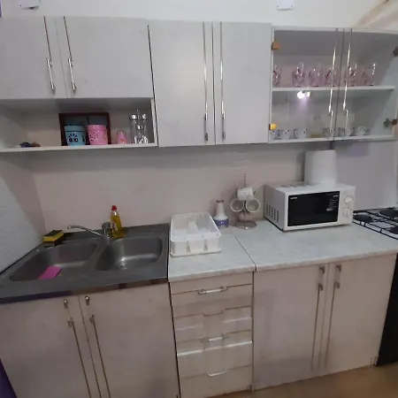 Lela Apartment Vrsac